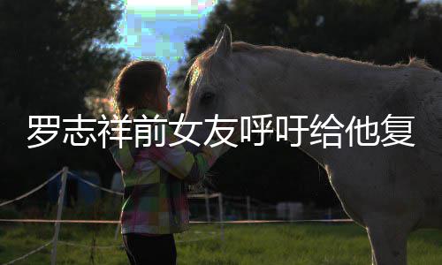 祥前小猪机会节目给他女友呼吁 喊罗志来上复出
