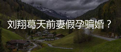 骗婚应也抵造谣者假孕葛天前妻不过澄清回刘翔