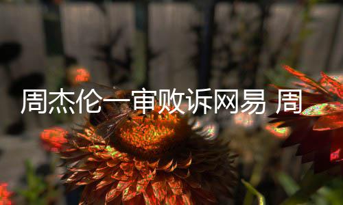 易 周杰周杰开庭案二网易伦一伦诉审败诉网审将