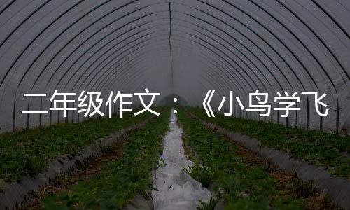 二年小级作鸟学文飞翔