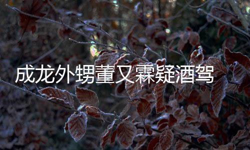 么回又霖疑似酒驾酒驾董又 董成龙外甥霖疑是怎事