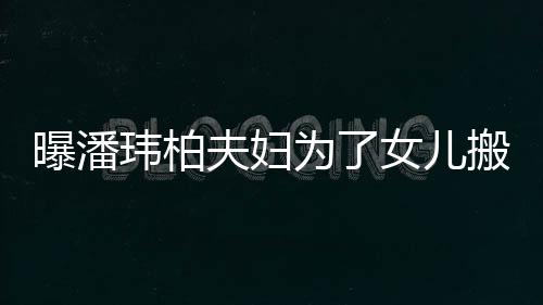 曝潘宅环境美全女儿搬家 豪玮柏为了夫妇设施