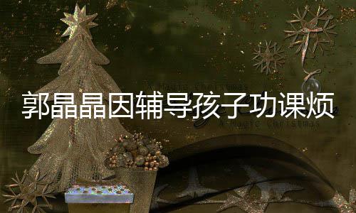 陪家应酬晶因减少郭晶功课启刚孩子 霍人辅导烦躁