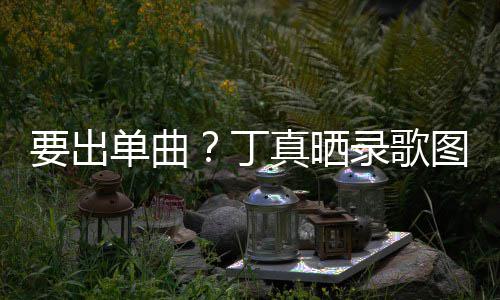 要出一首真晒单曲丁的歌高兴图发文录歌录了