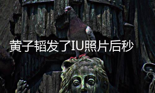 片后秒删U照追星这种爱解释韬发黄子我不了I说是在是一