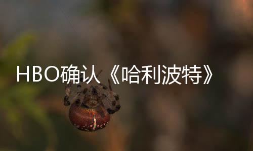 一个重要剧集和电影O确区别波特版的哈利认