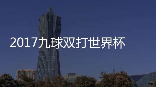 像 美国之一九球杯录比赛芬兰双打世界四分视频